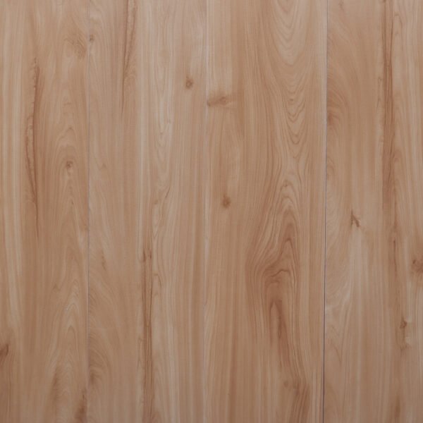 GC 308 MOCCA CHERRY - Image 2