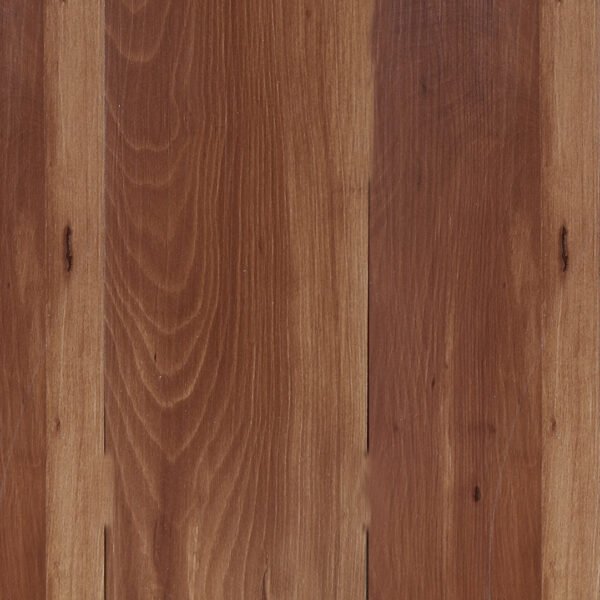GC 213 SWEET CHERRY - Image 2