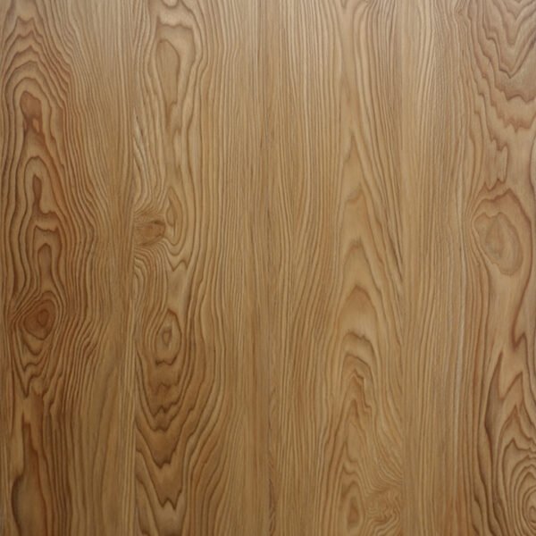 GC 511 GOLDEN ACACIA - Image 2