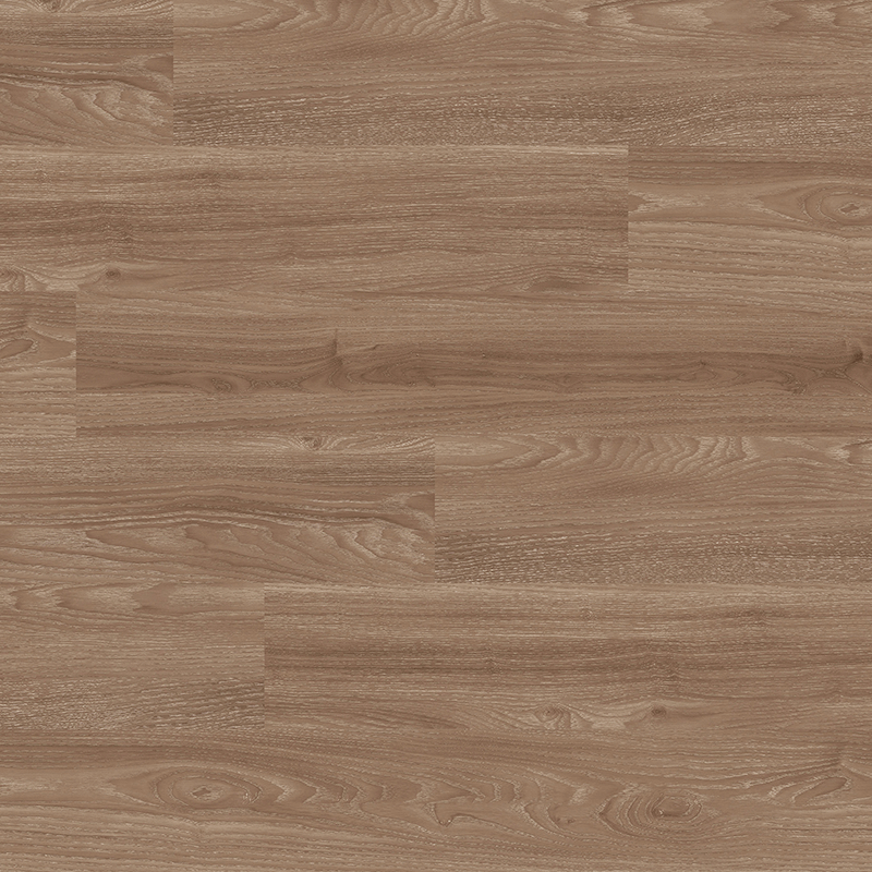 DKT 507 EARTH OAK