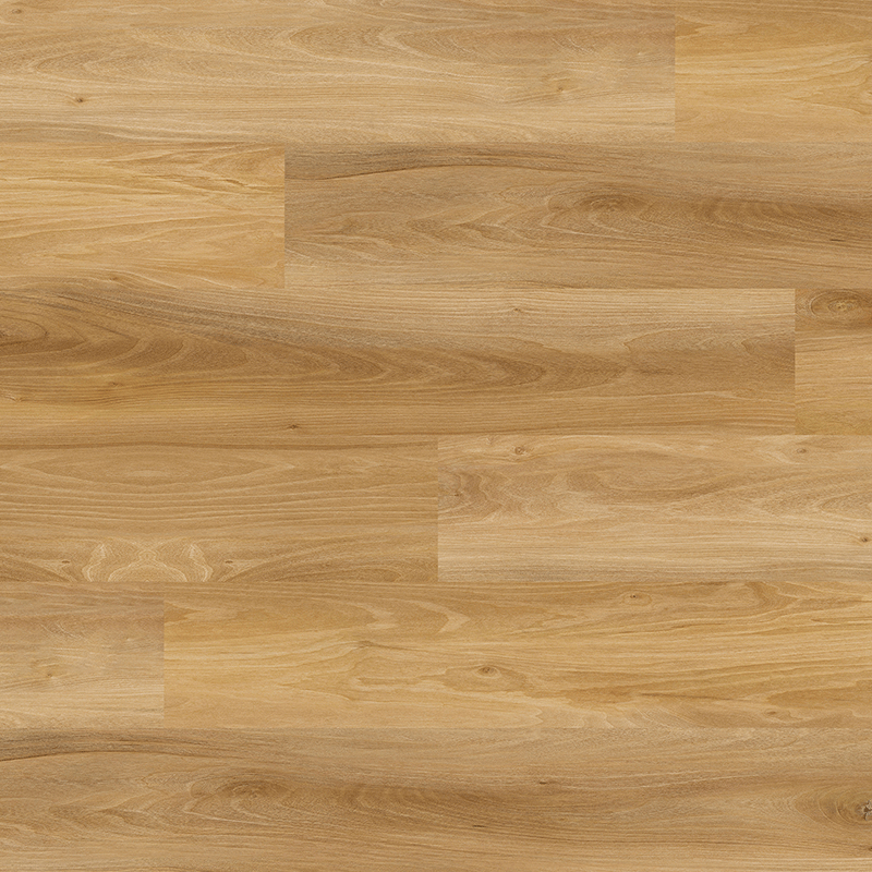 DKT 508 AMBERWOOD